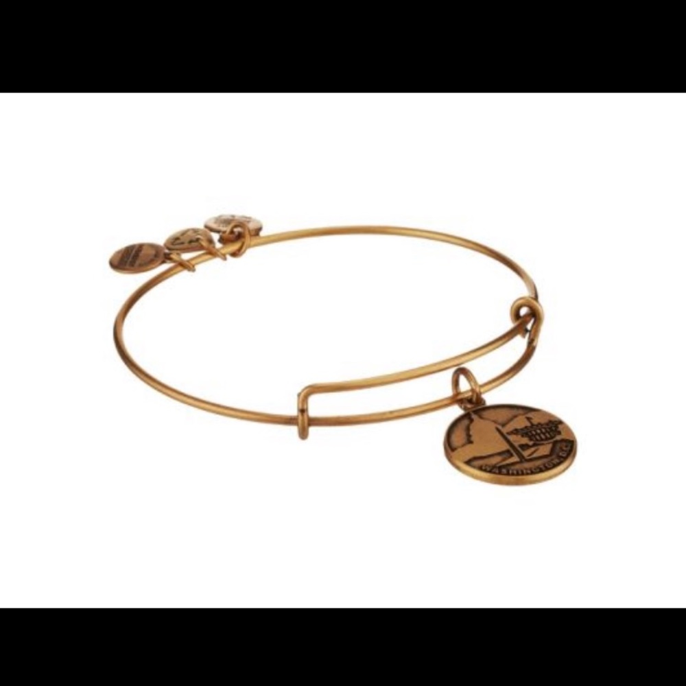 Alex and Ani Washington D.C. Bracelet